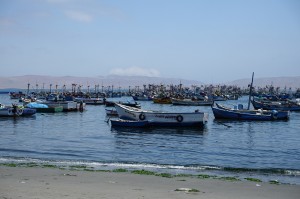 DSC05382
